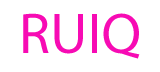 RING 20 USA INC logo
